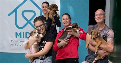 Midas — há 24 anos a cumprir um compromisso diário com os animais.